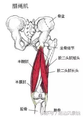骨架平衡整脊术价目表,骨架平衡手法