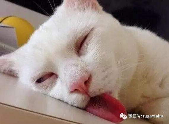 iphonex全新正品,iphonex正式开售时间