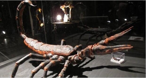 盘点地球真实存在的十大巨兽,地球上曾存在的八大巨兽