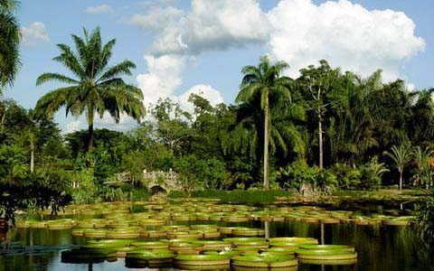 中国最美的十大森林,中国最美十大森林公园