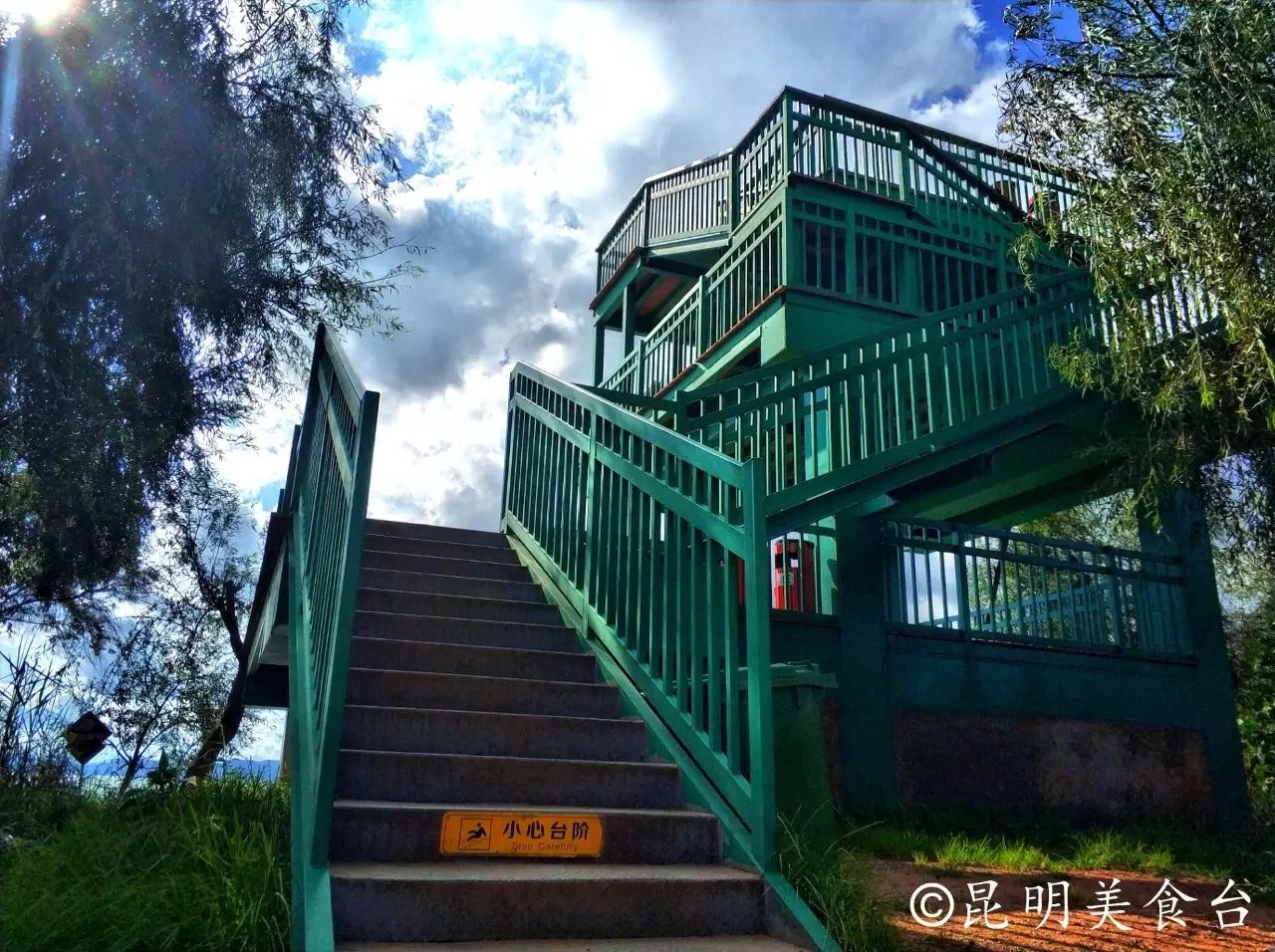 昆明捞鱼河公园万株野花如期绽放，国庆节踩烂2张共享单车也得去