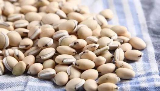 一天喝水超过8杯会水肿吗,喝一杯水就水肿