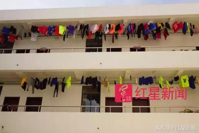 当教练、出国……琼中女足首批队员那些被足球改变了的人生