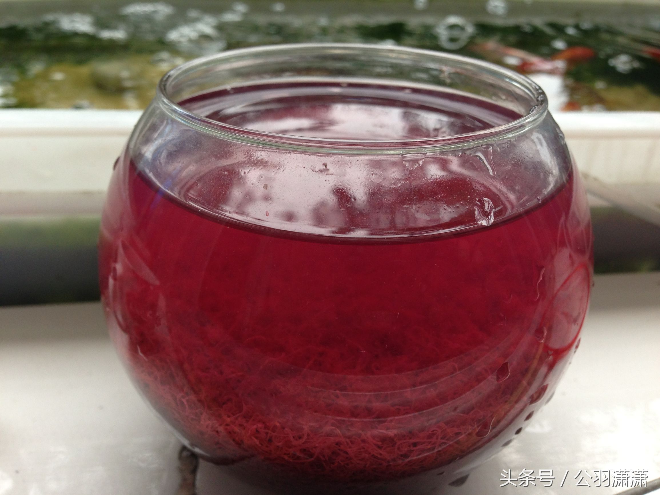 养金鱼的鱼缸需要换水吗,鱼缸养金鱼的方法和技巧视频讲解