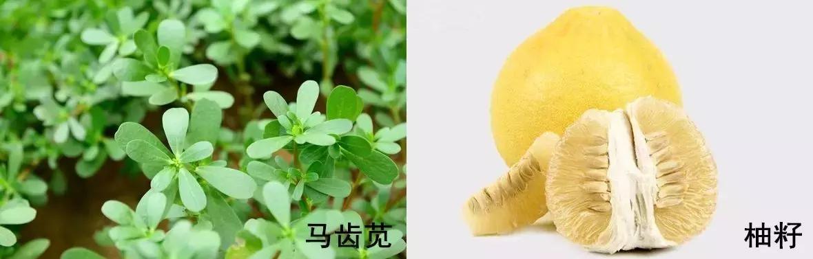 无印良品高保湿化妆水测评,测评无印良品的化妆品