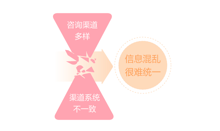 鏅洪娇瀹㈡湇,鏅洪娇瀹㈡湇鏋佽嚧鏈嶅姟