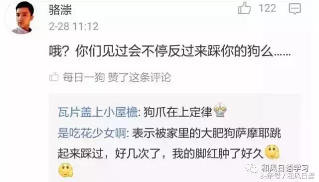 不小心踩死自己的宠物痛哭流涕,不小心把宠物压死了