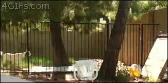 门和门套要同色吗,门和门套要一个色么