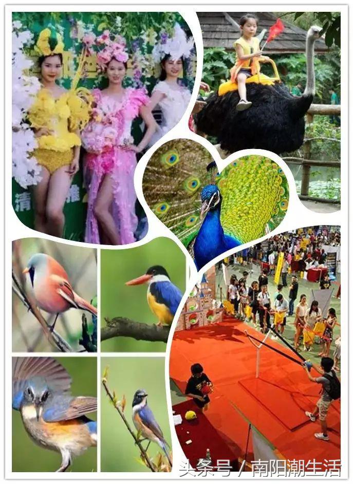 百鸟展门票,百鸟展门票早鸟票