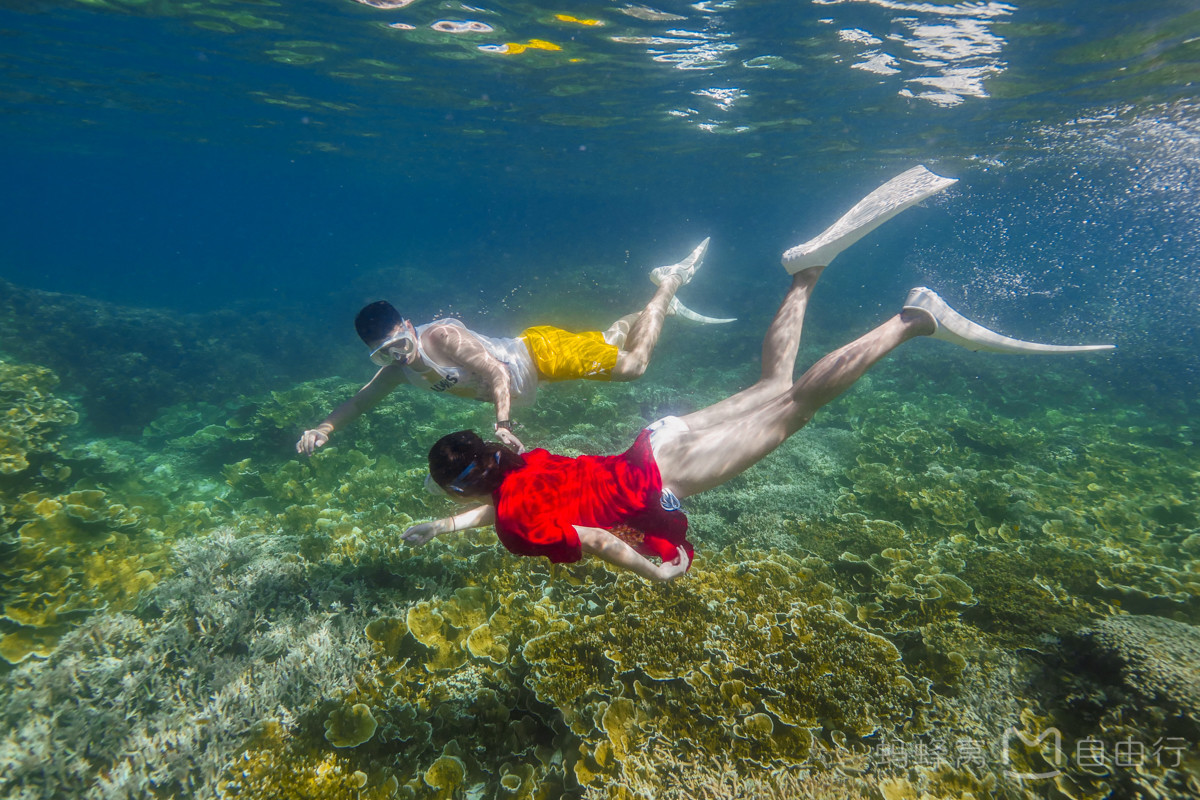 帕劳出海攻略,帕劳旅行攻略图文大全