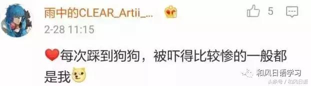 不小心踩死自己的宠物痛哭流涕,不小心把宠物压死了