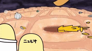 去黑头收缩毛孔小妙招学生,去除黑头收缩毛孔最有效的方法