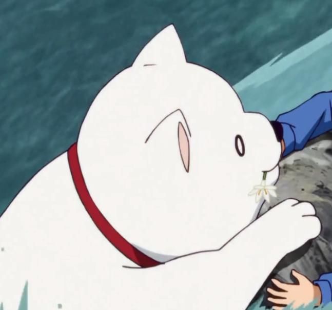 射惠我路哥绿帽我天道，7月新番完结小结