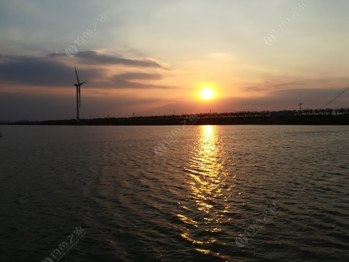 偶遇新物种，独战板鲫群