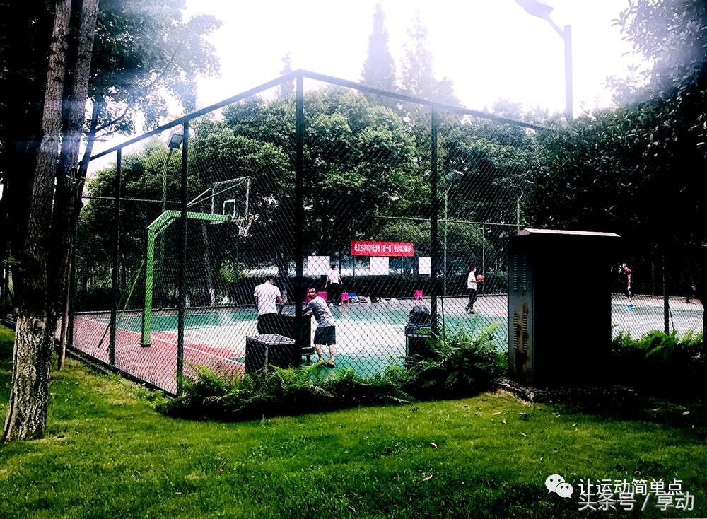 东湖庭院篮球场,室外篮球场东湖区