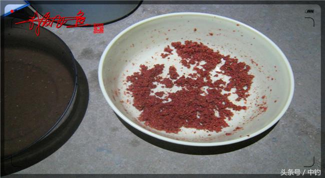 乌河湿地公园夜钓鱼,乌水边夜钓