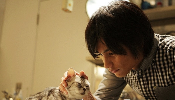 可爱猫咪动画片有哪些,十大可爱的猫咪动画片