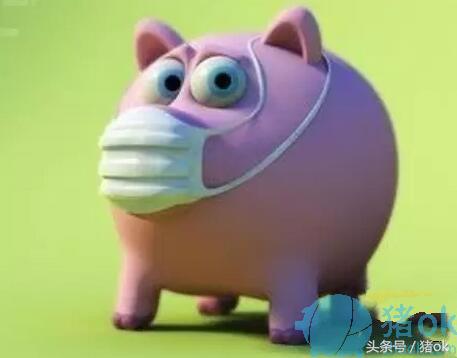 猪咳嗽支原体喘气用什么治疗,猪传染性咳嗽怎么治疗