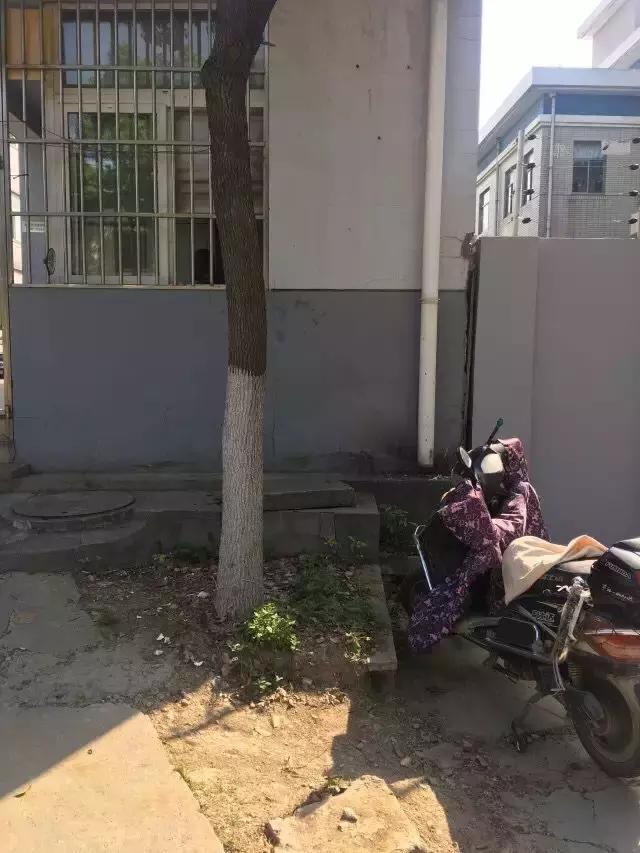 太阳能路灯自助洗车点,栖霞区迈皋桥自助洗车