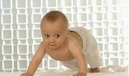 13-15个月宝宝精细动作训练,13-15个月宝宝大动作训练