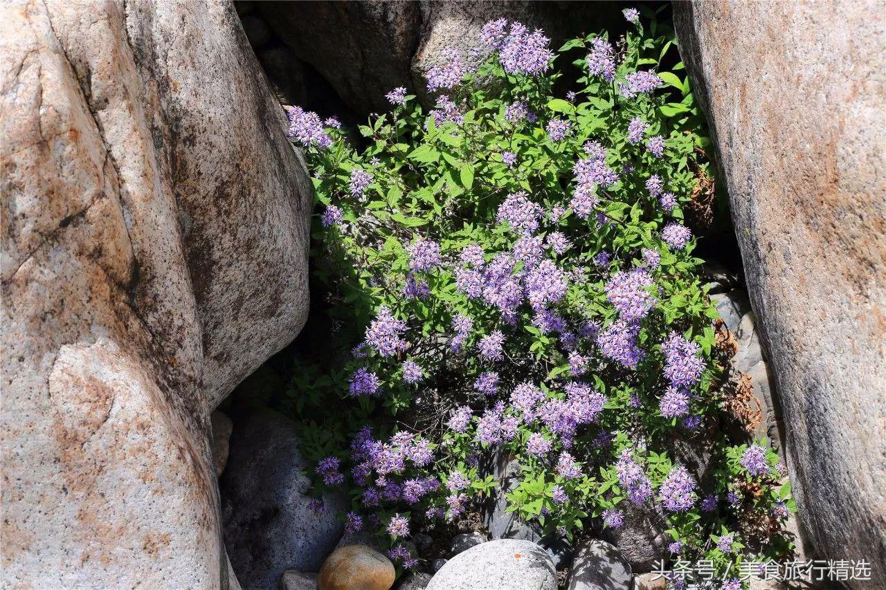 山地车骑行318川藏线游记,我的32天单车自驾游川藏线