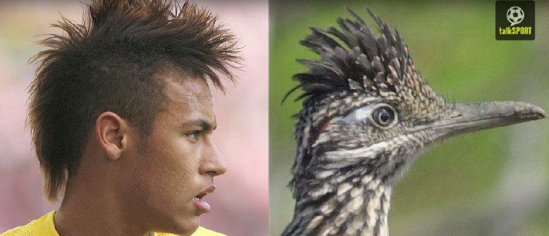 太像了！太像了！你喜欢的足球运动员像什么动物？