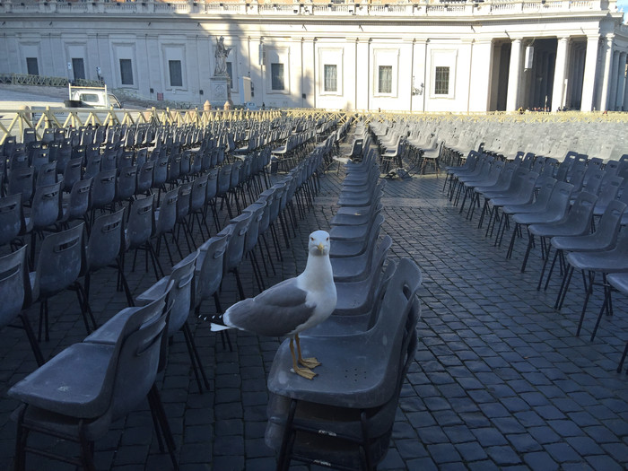 欧洲那么美，是时候去看看了——《凡尔赛玫瑰》圆梦记（上）
