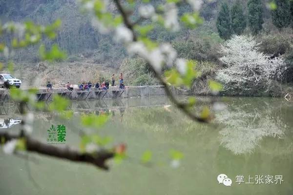 钓了8小时鱼塘老板哭了,黑坑老板被钓鱼人打崩溃