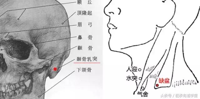 高血压针灸降压方法穴位图,高血压按哪个穴位能降压