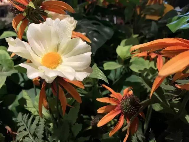 iPhone8全面评测，升级点有这几个此文章转自中关村在线