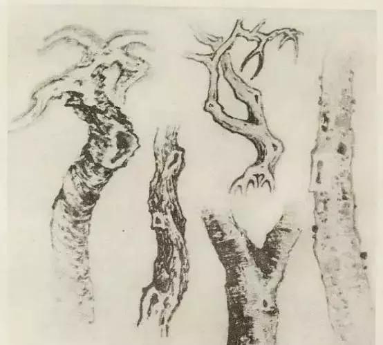 怎么画树最简单而且还最好看,怎么样才能画树画的最好看