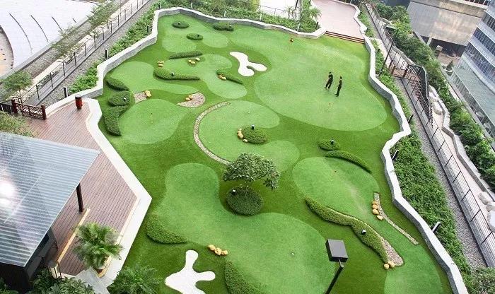 屋顶运动，你关注了没有？