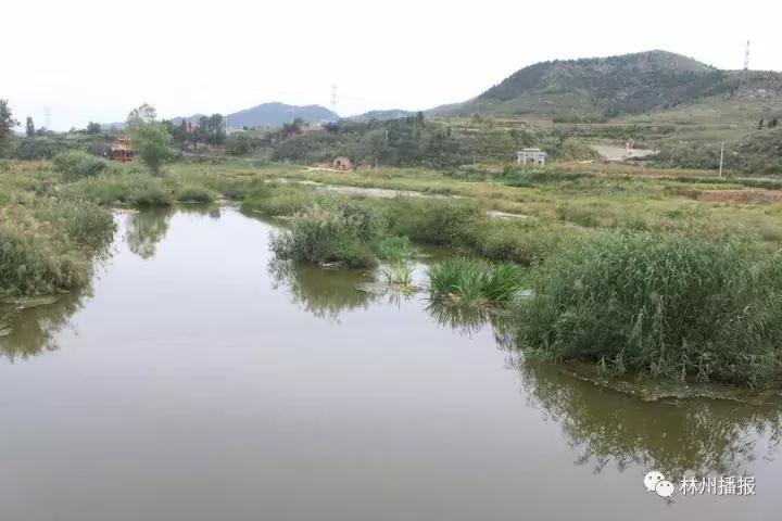 横水镇幸福家园小区,横水镇投资三亿元打造洹河