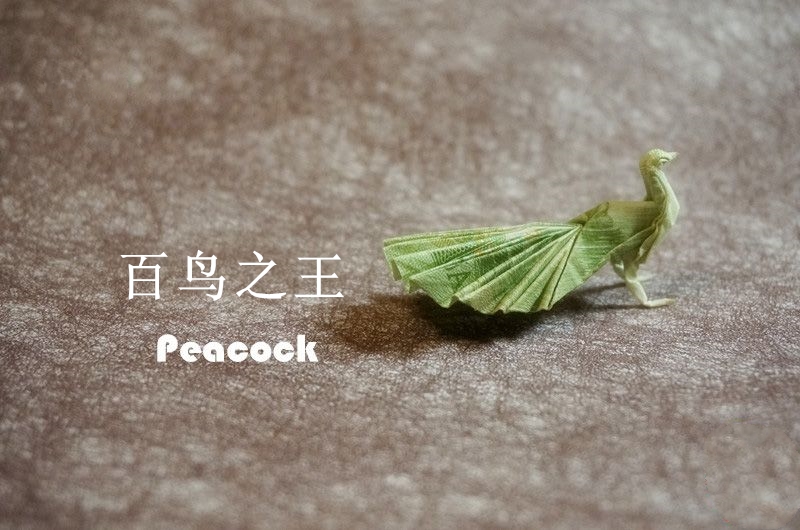 手工折纸小青蛙视频,手工折纸孔雀视频