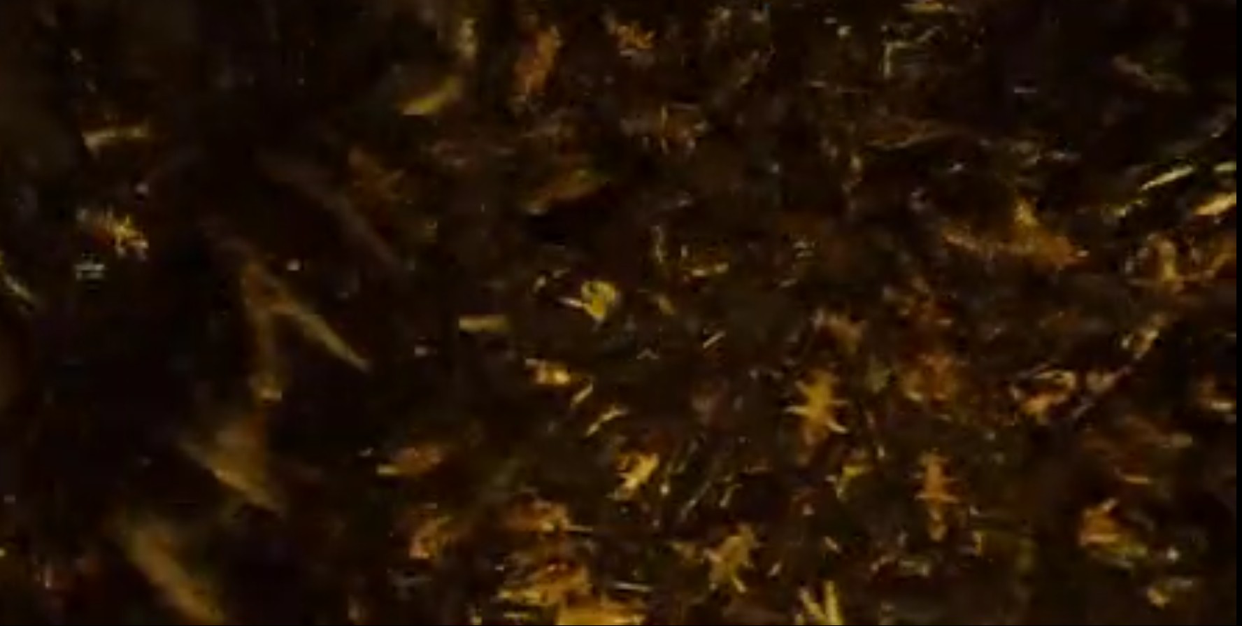 《雪国列车》一辆永不停歇的列车