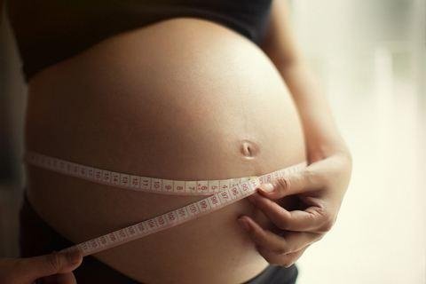 灏忔煚鍏荤敓閿荤偧,灏忔煚淇濆吇