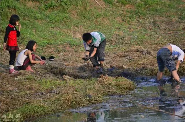 鸠歌湾，大北山怀里的“小江南”