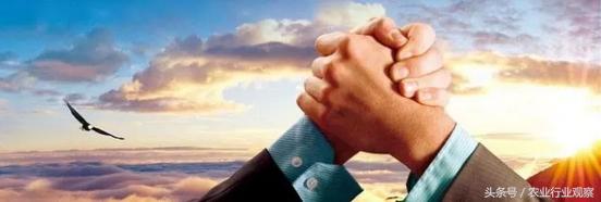 农产品如何全网做营销,新农人必学的营销策略