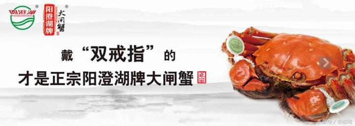 阳澄湖大闸蟹为什么电商很便宜,阳澄湖大闸蟹多少元一只
