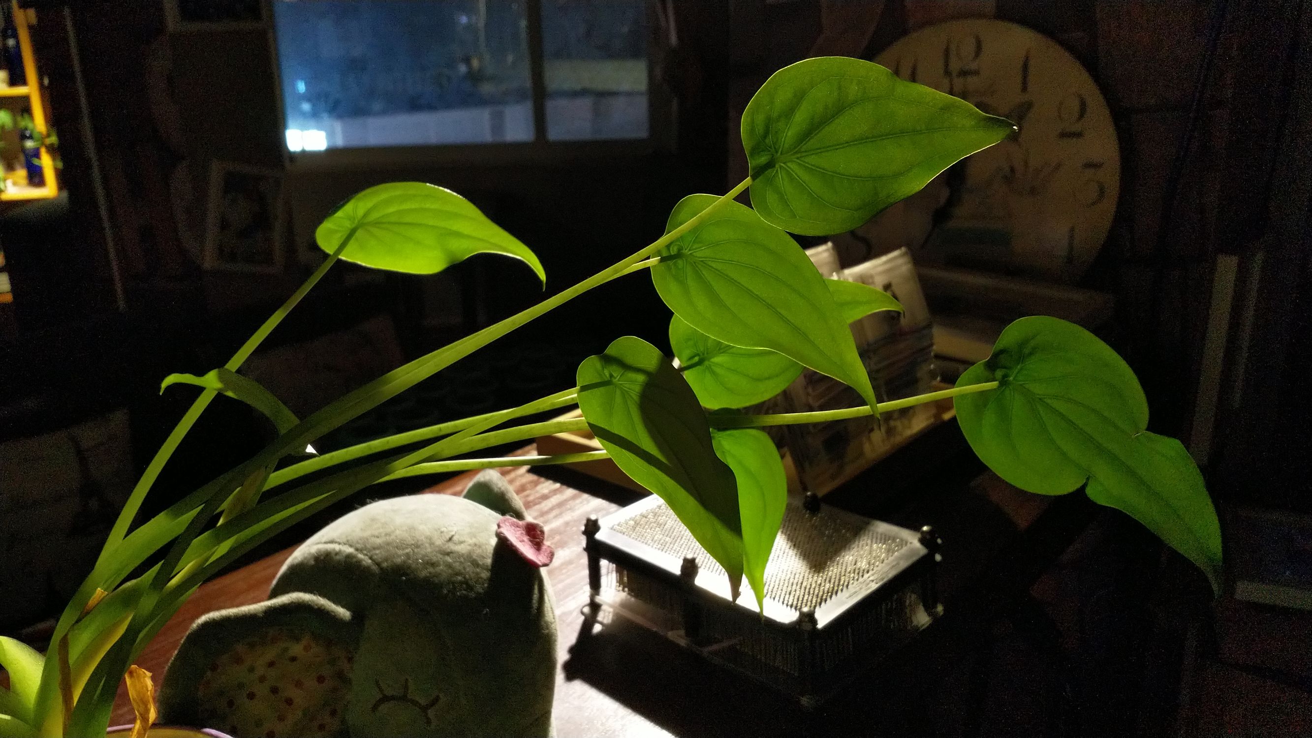 诺基亚8的实际体验如何,诺基亚8快速上手评测