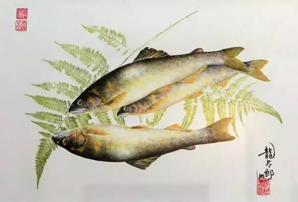 唯美鱼手绘画,唯美鱼手绘高级