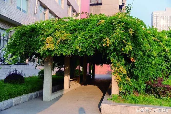 大连最牛逼的学校,大连最好的三所学校