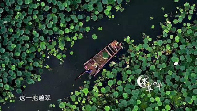 8.9,我们的片终于抢在韩国人前面