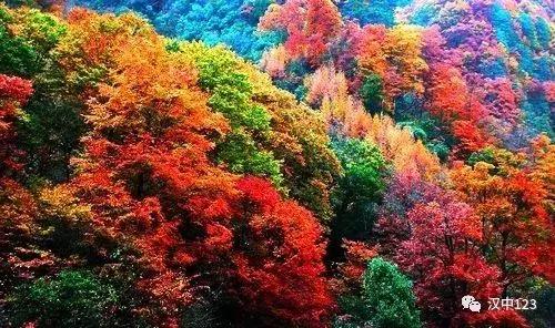 汉中光雾山最详细地点,光雾山旅游景区感受大自然