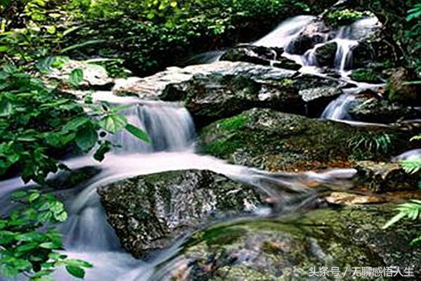 湖北百强县市大冶,大冶百强县57名