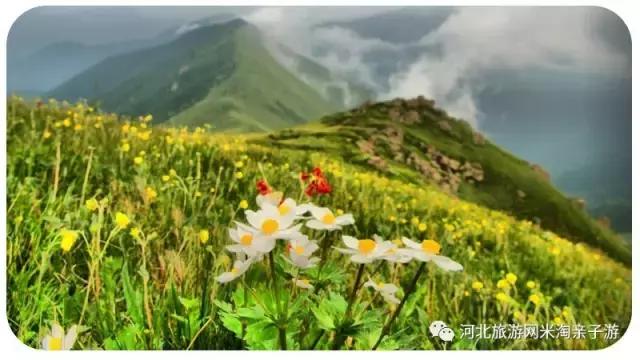 石家庄好玩的地方免费的露营地,石家庄周边户外露营哪儿好玩