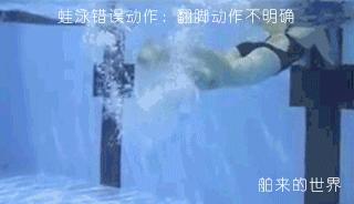 蛙泳腿蛙泳手在河里游,蛙泳教程