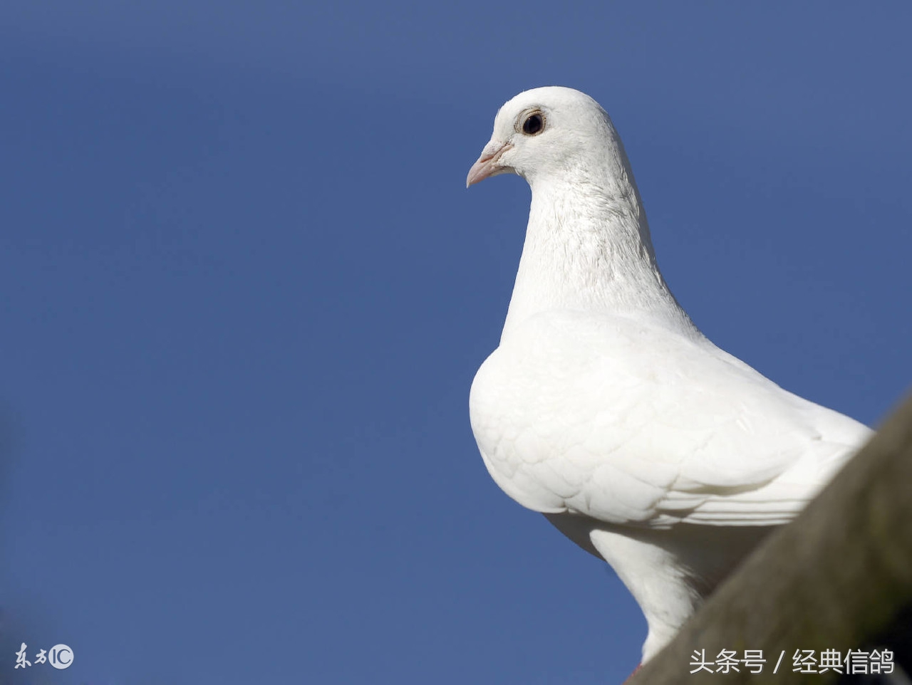 呼吸道对比赛的影响，高手们都是怎么做呼吸道的？