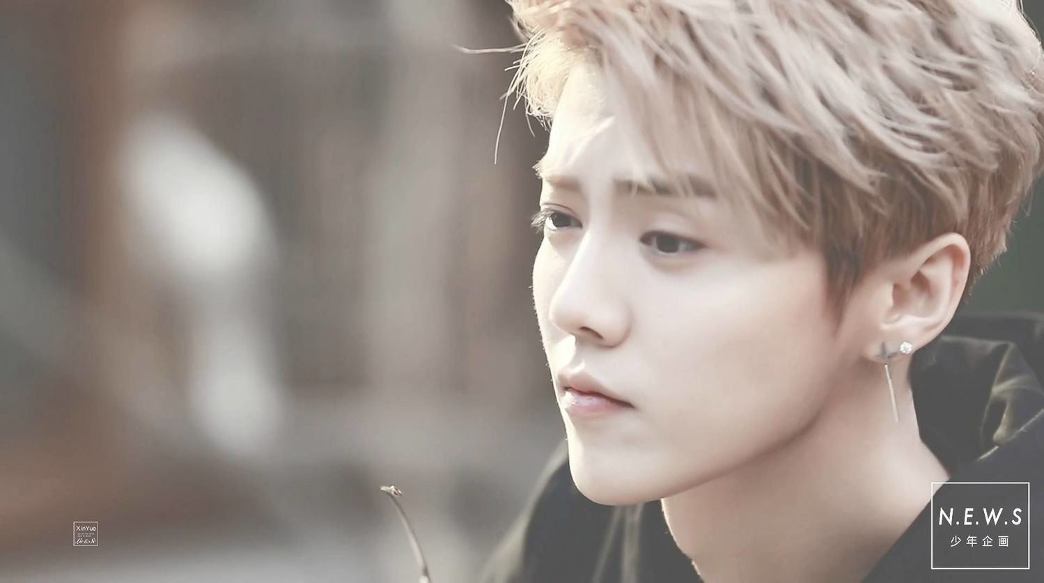 鹿晗圈内粉丝,鹿晗张艺兴竟然垫底了