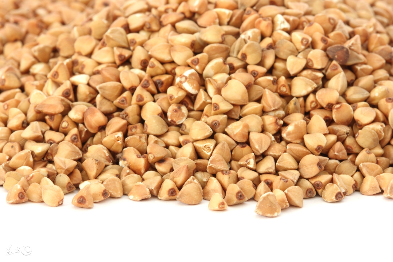 荞麦泡茶有哪些好处,荞麦茶的好处和坏处